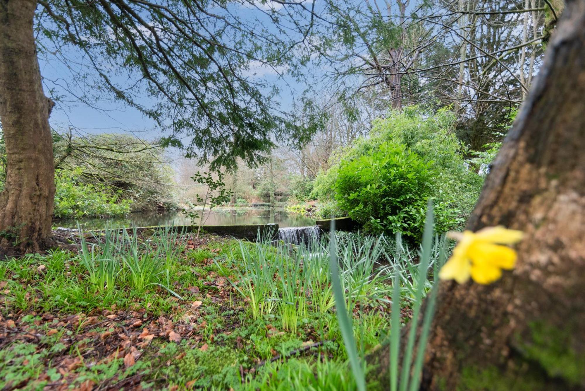 Goytre Hall Abergavenny Εξωτερικό φωτογραφία